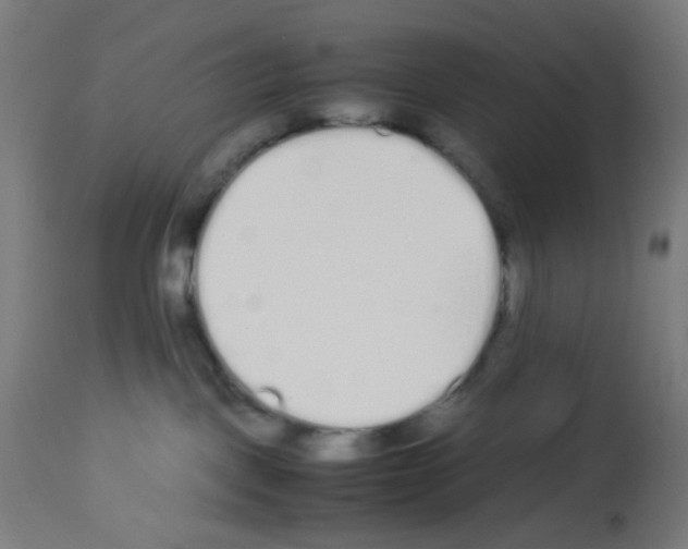 X0000113010093200910081232
