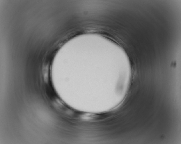 X0000113010094200910081232