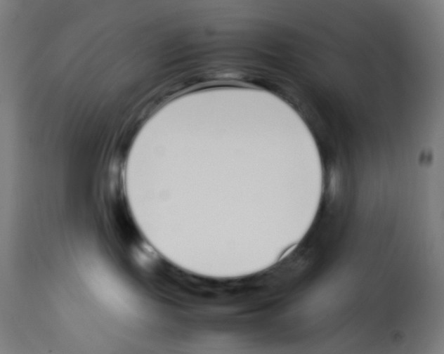 X0000113010095200910081232