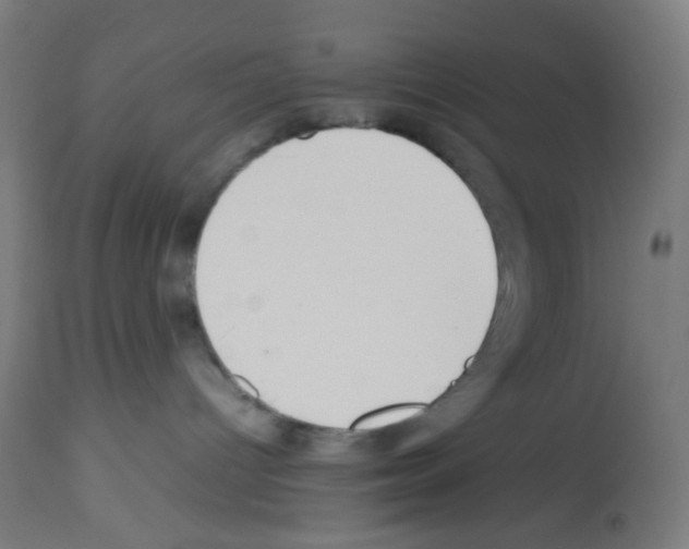 X0000113010096200910081232