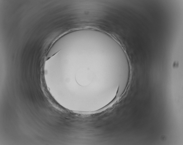 X0000113010097200910081232