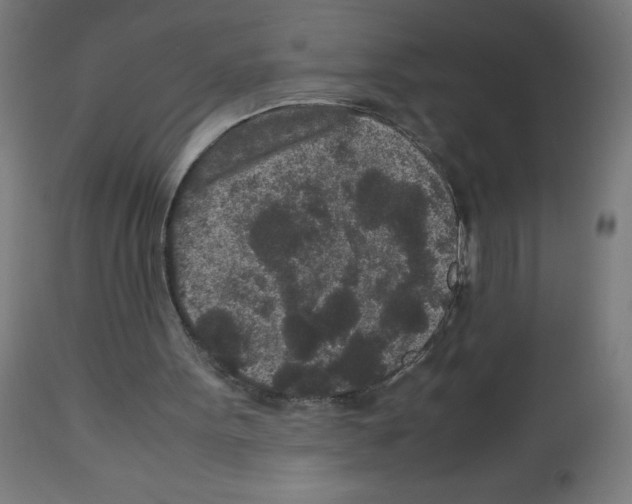 X0000113010099200910081232