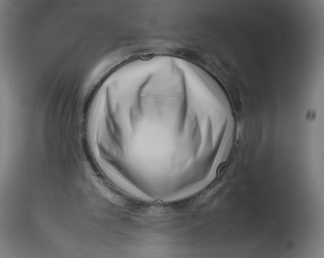 X0000113010101200910081232
