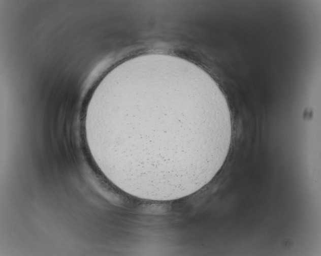 X0000113010102200910081232