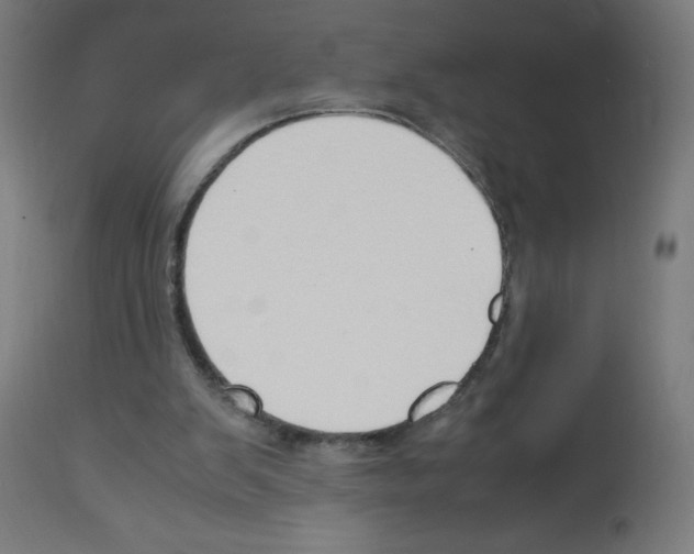 X0000113010103200910081232