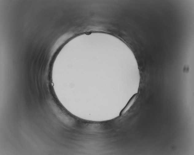 X0000113010104200910081232