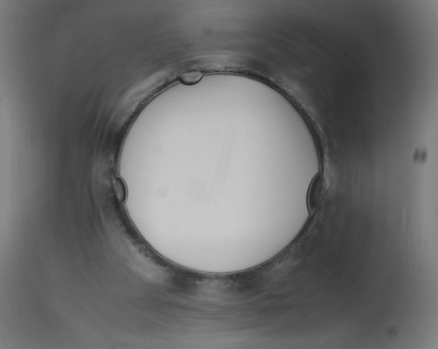 X0000113010105200910081232