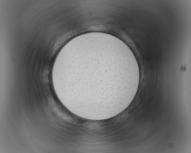 X0000113010106200910081232
