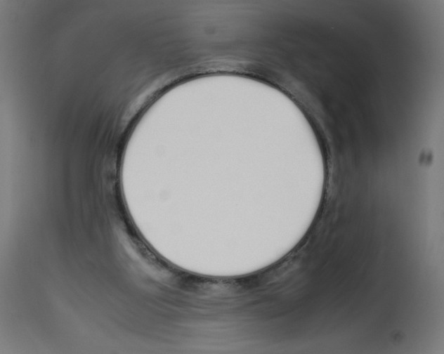 X0000113010107200910081232