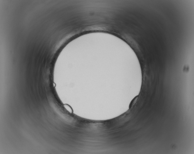 X0000113010108200910081231