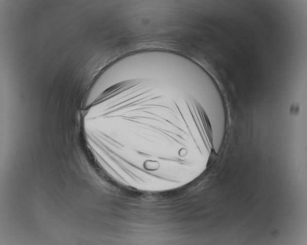 X0000113010109200910081231