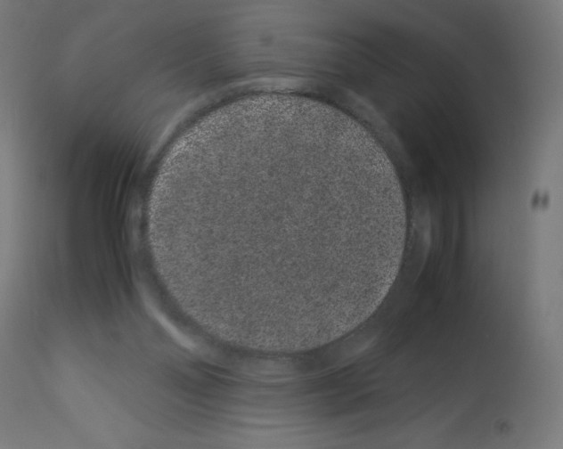X0000113010110200910081231