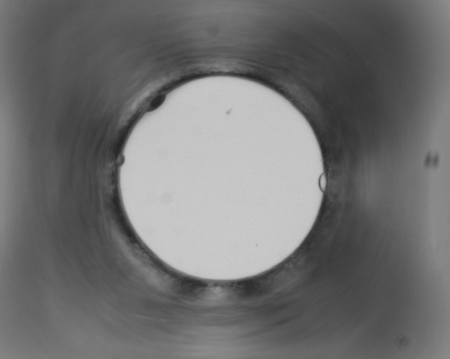 X0000113010111200910081231