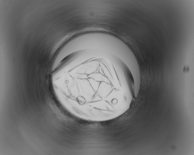 X0000113010112200910081231