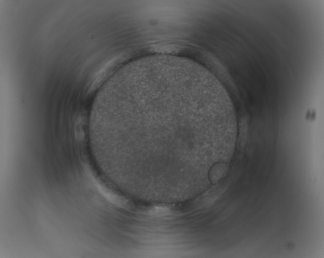 X0000113010114200910081231