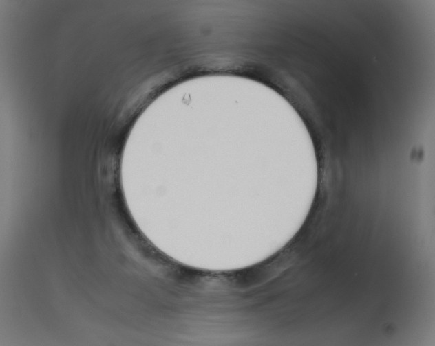 X0000113010115200910081231