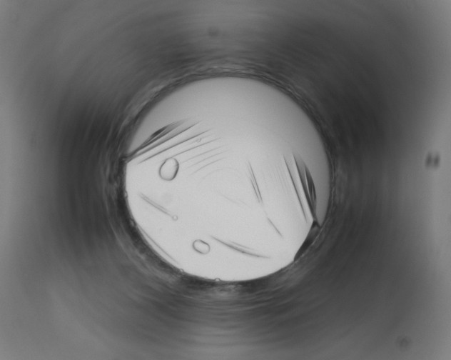 X0000113010116200910081231