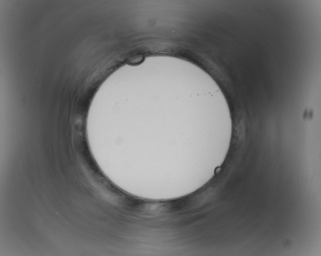 X0000113010117200910081231
