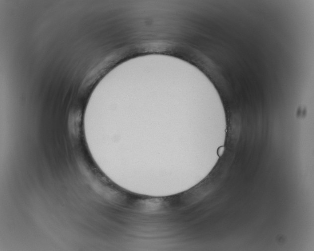 X0000113010118200910081231