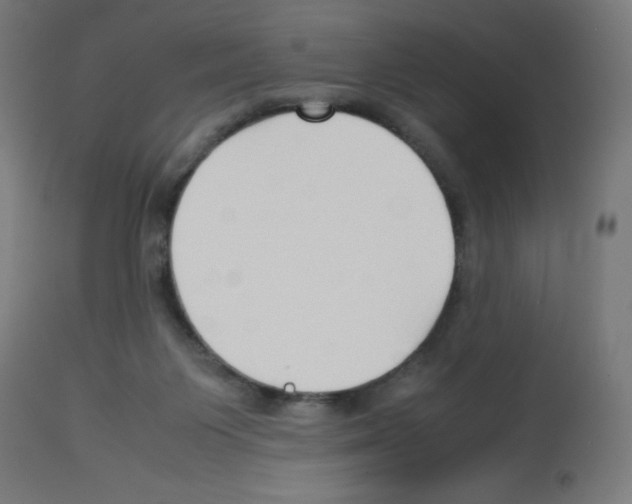 X0000113010119200910081231