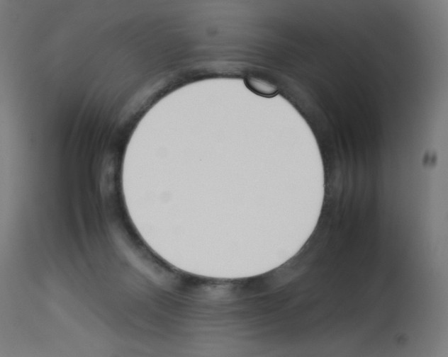X0000113010120200910081231