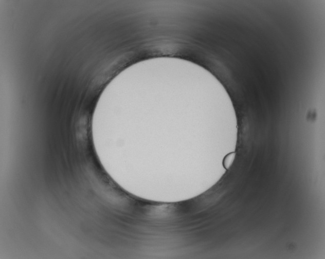 X0000113010122200910081231