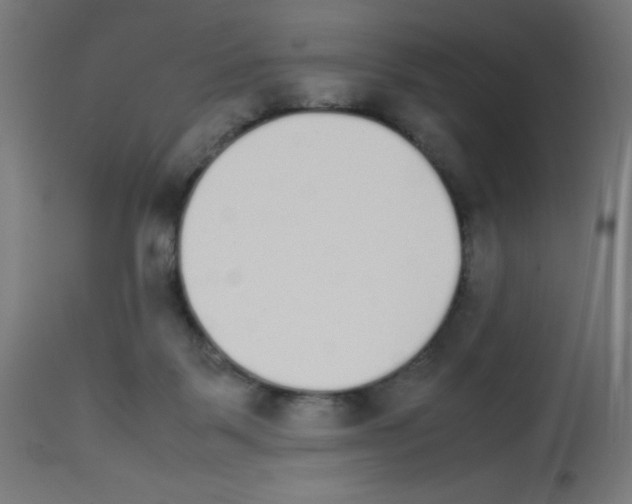 X0000113010123200910081231