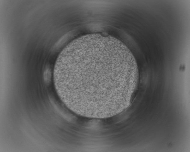 X0000113010124200910081231