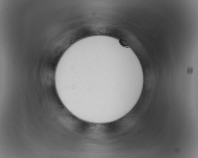 X0000113010125200910081231