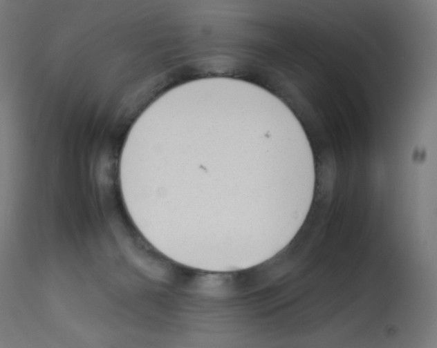 X0000113010126200910081231