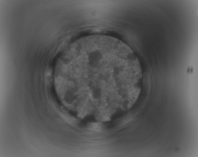 X0000113010127200910081231