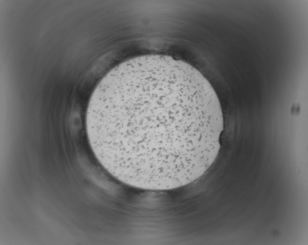 X0000113010128200910081231