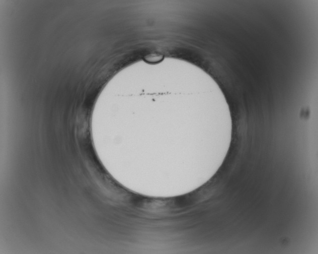 X0000113010129200910081231