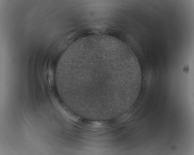 X0000113010130200910081231
