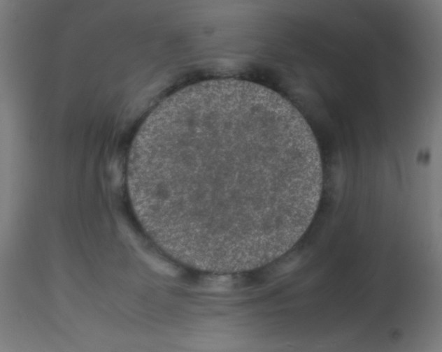 X0000113010131200910081231