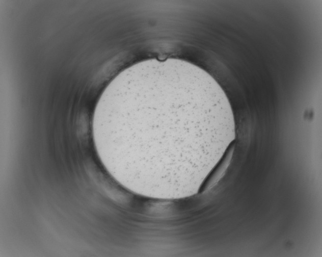 X0000113010132200910081231