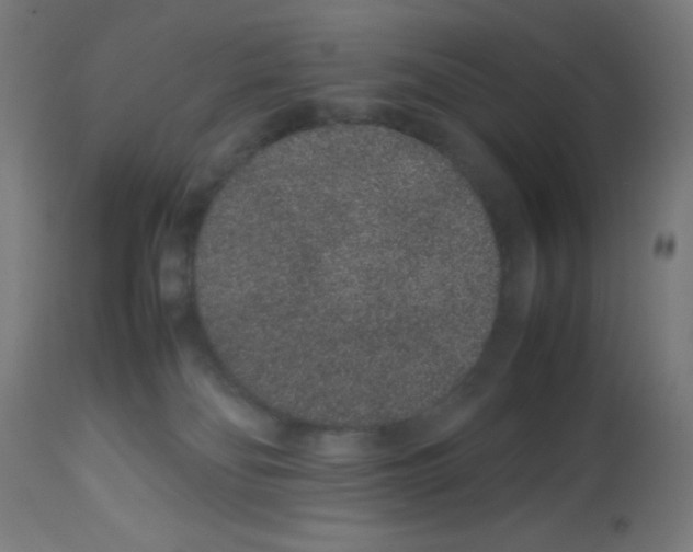 X0000113010134200910081231