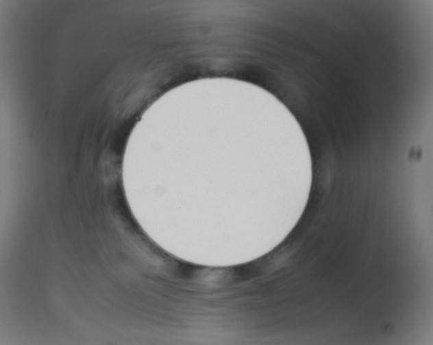 X0000113010135200910081231