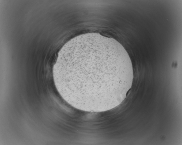 X0000113010136200910081231