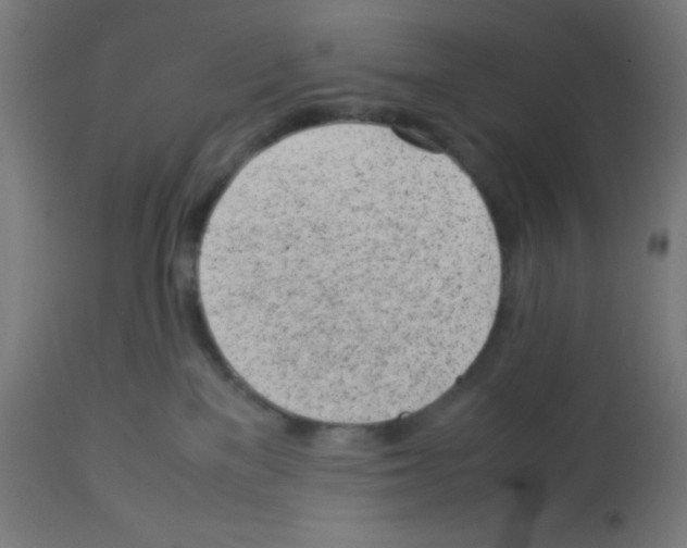 X0000113010137200910081231