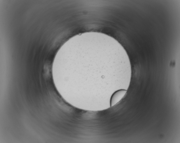 X0000113010138200910081231