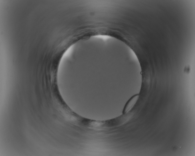 X0000113010139200910081231