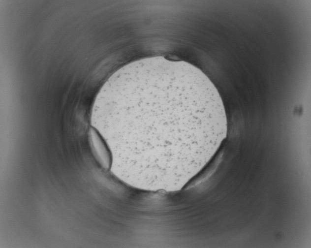 X0000113010140200910081231