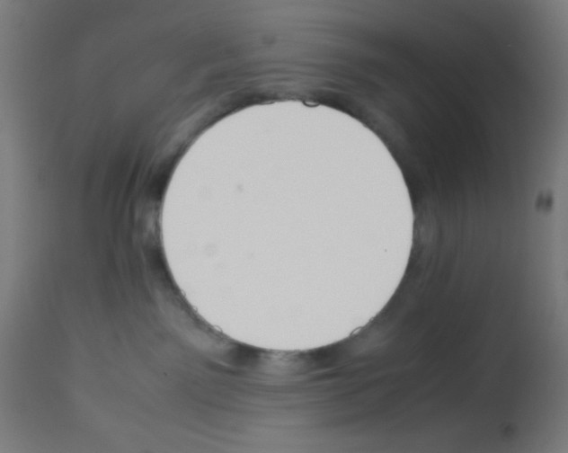 X0000113010141200910081231