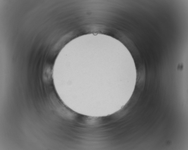 X0000113010142200910081231