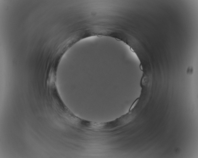 X0000113010143200910081231