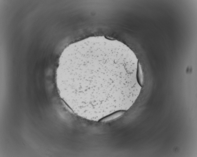X0000113010144200910081231