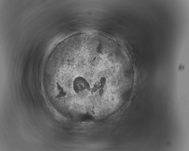 X0000113010145200910081230