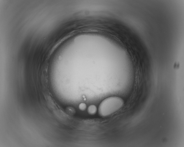 X0000113010146200910081230