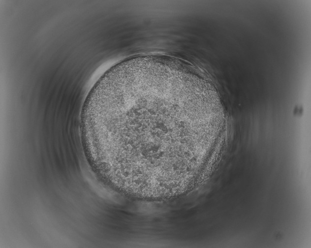 X0000113010147200910081230